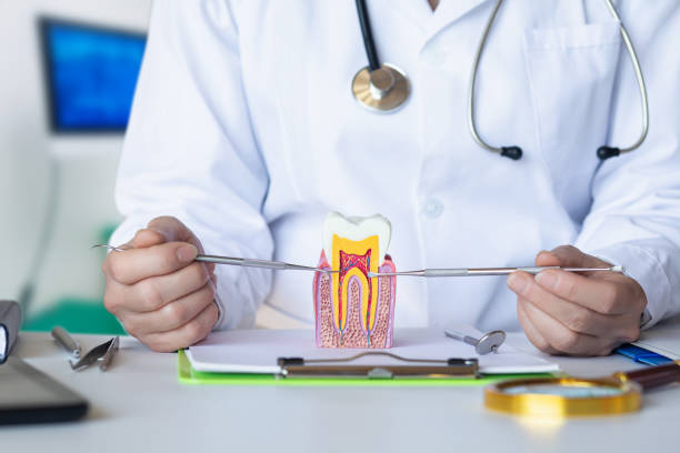 Best Emergency Dental Care for Broken or Chipped Teeth in Las Lomas, TX